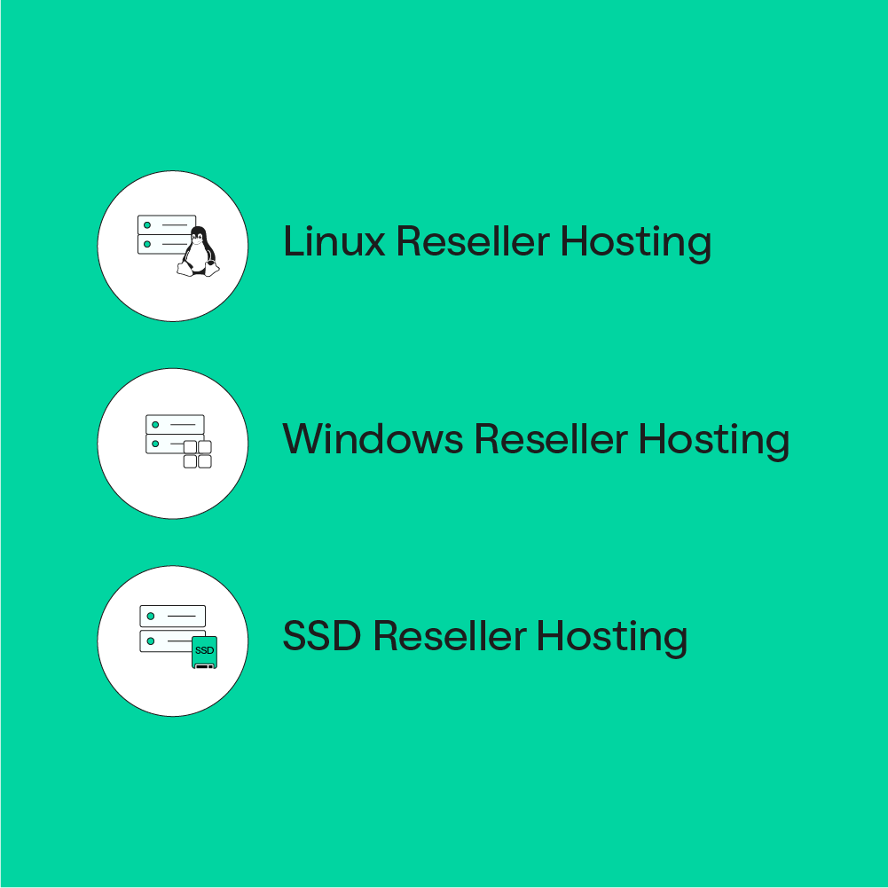 Technological Options in Reseller Hosting